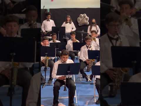 Animal Parade Marching Band Somerset 05/2022