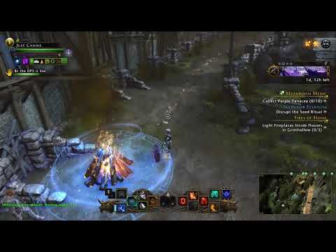 Neverwinter Live Stream Reapers struggle bus :P