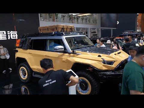 Appreciating the 2024 Dongfeng M-Hero 917 Dragon Armor Edition