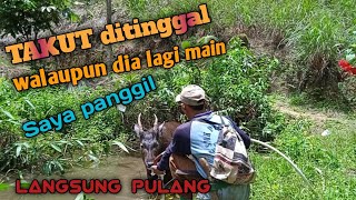 Download lagu THE DEER is still per JAKA mp3 Download lagu THE DEER is still per JAKA mp3