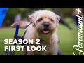 Season 2 US First Look