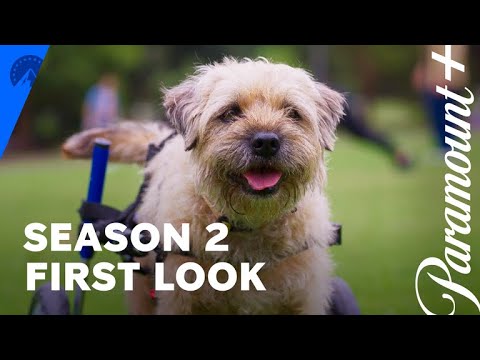 afbeelding Season 2 US First Look