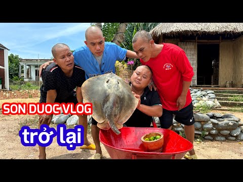 SƠN DƯỢC VLOG Đã Quay Trở Lại : Cá Đuối Nguyên Con Nấu CaRi