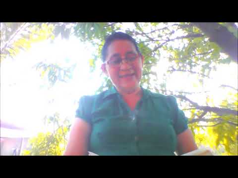 NO CORTES LAS ANCLAS