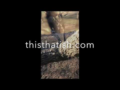 ReadyOrNot.Produced By 'Era-n-Eye for ThisThatISH ®  thisthatish.com