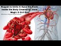 Very Powerful Ruqyah To Untie Open The Knots Clots Blockages Etc Caused By Jinns Evil Eye Magic