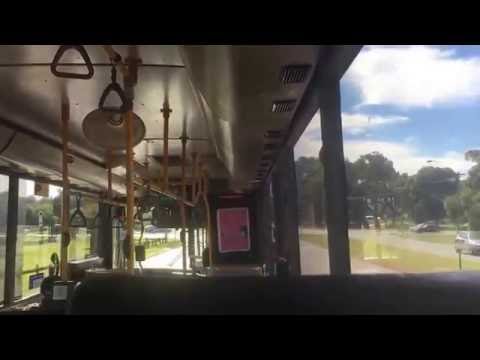 Transperth TP1702 Mercedes Benz O405NH (Voith)