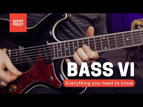 Bass VI - Everything You Need To Know