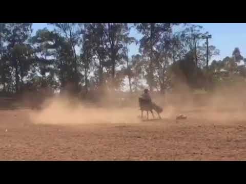 Malícia 608 da Reconquista