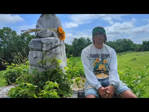 Veteran Eye x Gentleman Boss - "Sunflowers" Official Video