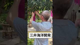 #日本株#株式投資#投資初心者#資産運用#日本市場#株の勉強#株式入門#投資生活#デイトレード#スイングトレード#長期投資