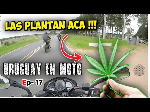DESCUBRIENDO la RUTA 34 DEL URUGUAY, en Empalme Olmos, La Montañesa,Pinamar #motovlog #moteros