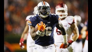 Kamryn Pettway || "Bubba" ᴴᴰ || Auburn 2016 Highlights