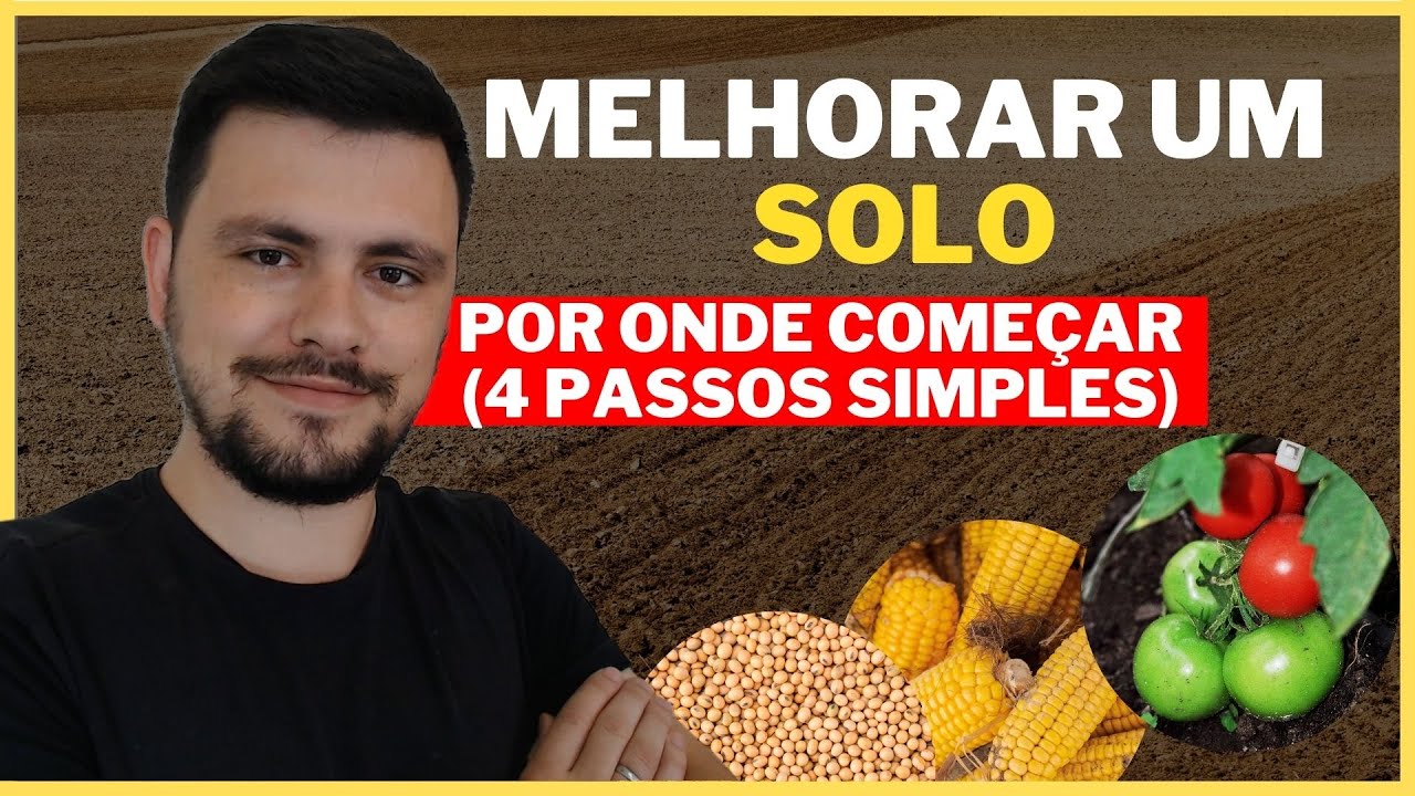 Por onde começar a MELHORAR O SOLO para alcançar altas produtividades