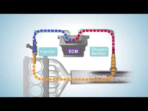 Fuel Trim - System Too Lean
