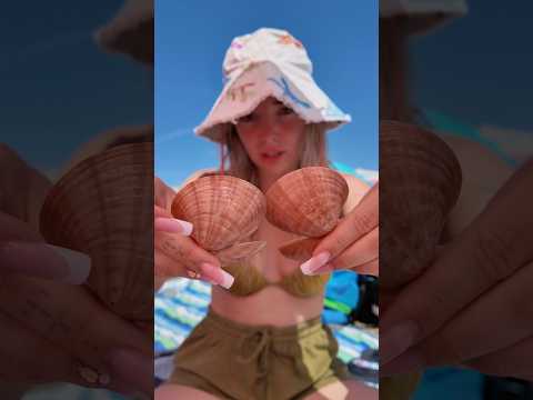 a heti adag😁🫶🏻 #sea #seashell #shell