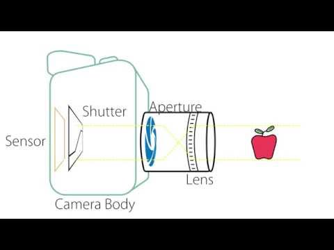 Camera Basics - Anatomy of a Camera