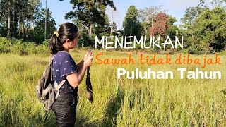 Download lagu Fishing in an old, abandoned rice field that hasn't been plowed for decades mp3