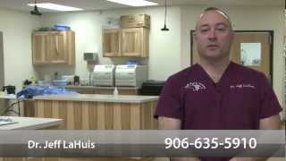 preview picture of video 'Welcome to Sault Animal Hospital - Sault Ste Marie, Michigan'