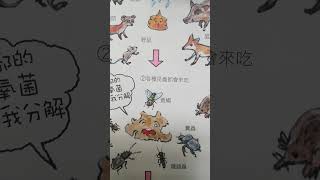 When I chant  嗡ōng 嘛má 呢ní 叭bei 咪mī 吽hōng. I see life cycles inside an
