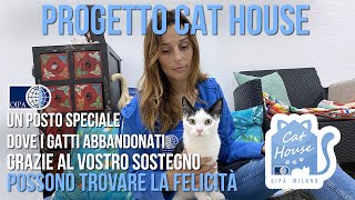 A Milano c’è un posto speciale per ospiti speciali: la “Cat House”