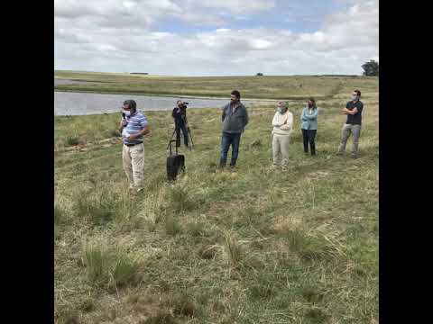 Proyecto Riego La Casilla - Flores