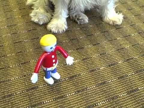 Mr. Bill moves to Boulder Park Apartments in Nashua, NH