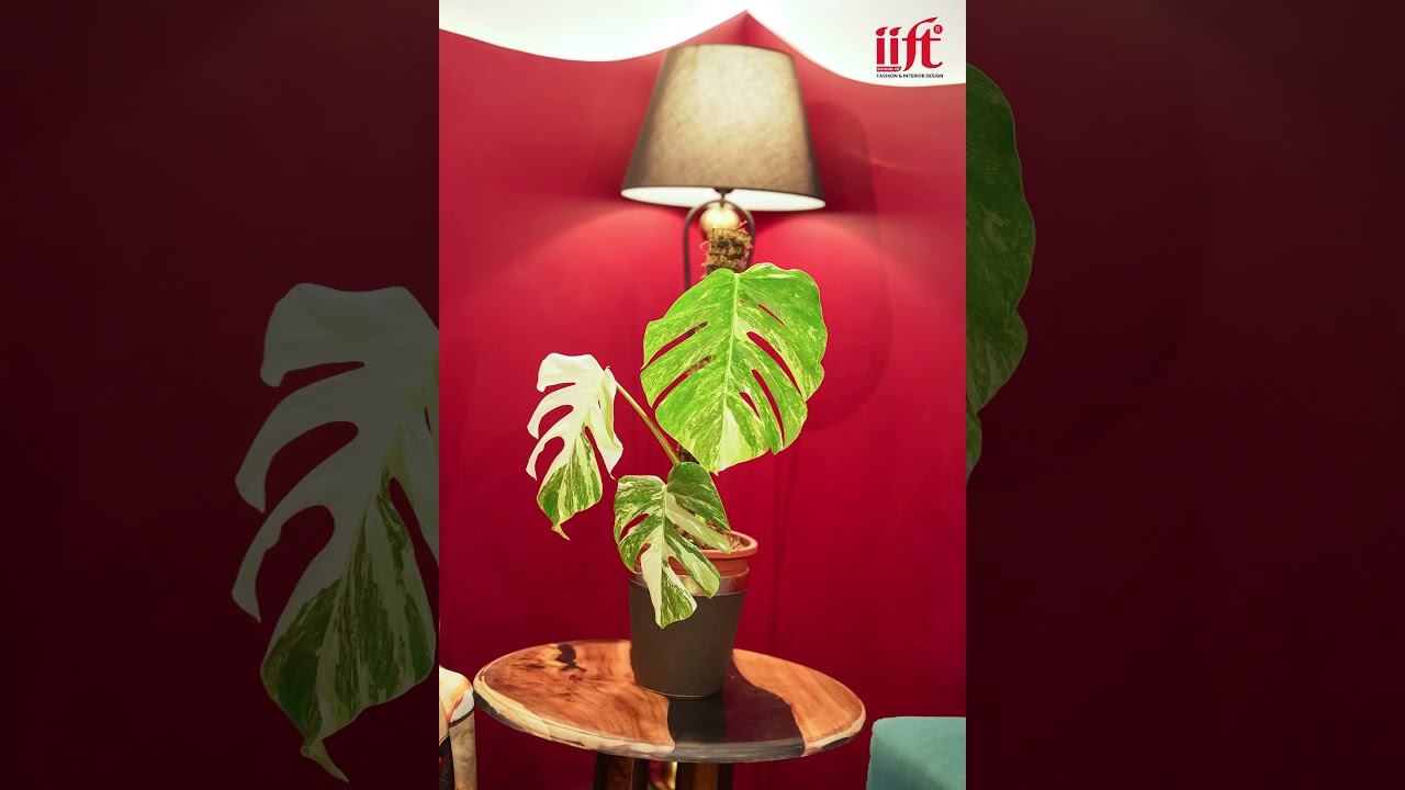 participating at NEPAL FASHION FESTIVAL