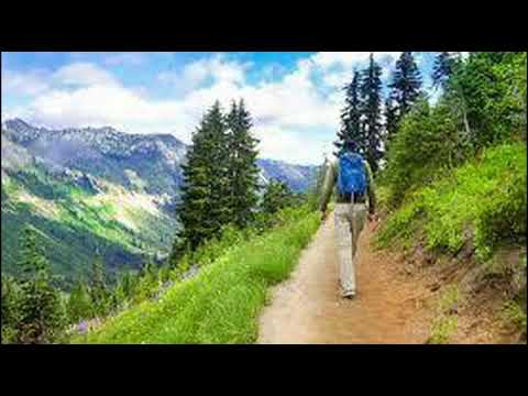 Frank Weir  The Happy Wanderer