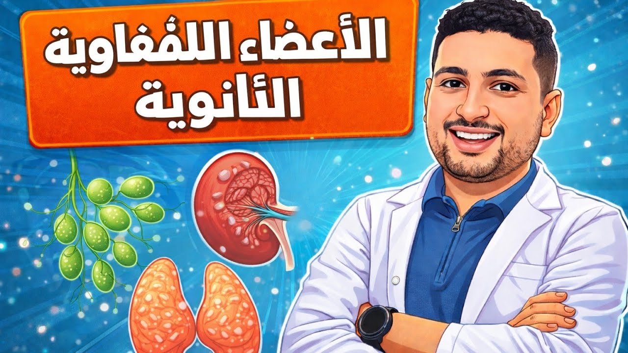 شرح الأعضاء الليمفاوية الثانوية (المناعة في الانسان) | أحياء تالته ثانوي 2026 ?