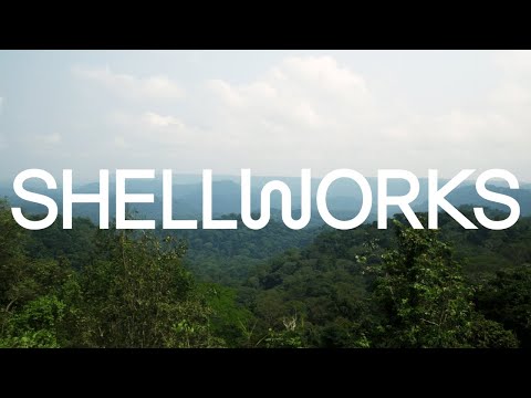 Insiya Jafferjee - Shellworks