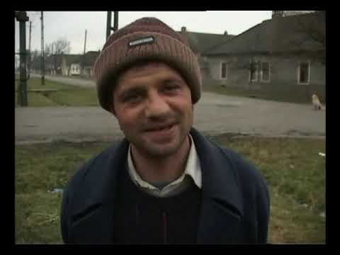 Navetistul Banatean - Sin City