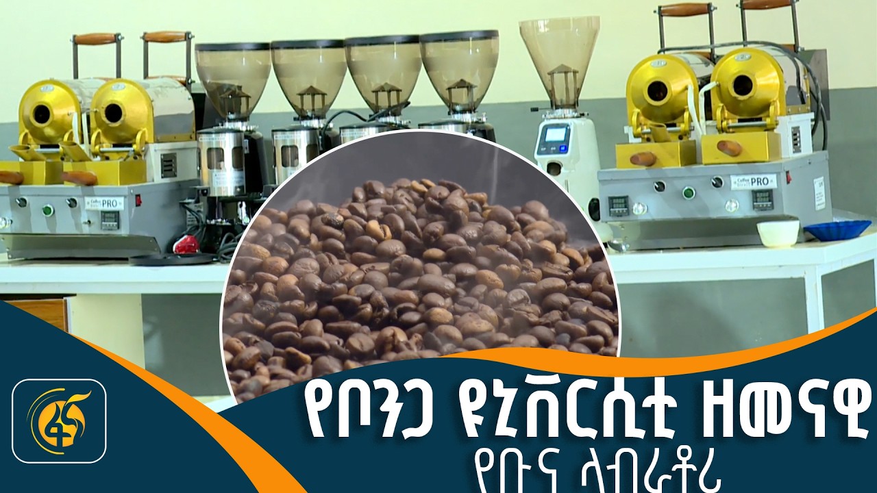 ቡና ላይ ያተኮሩ የምርምር ሥራዎች በቦንጋ ዩኒቨርሲቲ