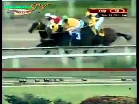 LA RINCONADA 11 CARRERA DOMINGO 07 DE SEPTIEMBRE DEL 2014