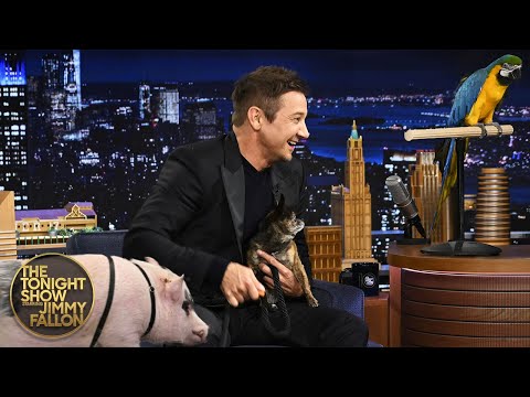 Jeremy Renner Introduces Jimmy to His Emotional Support Animal | The Tonight Show