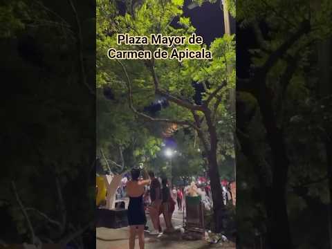 Plaza Mayor de Carmen de Apicala, Tolima, Colombia