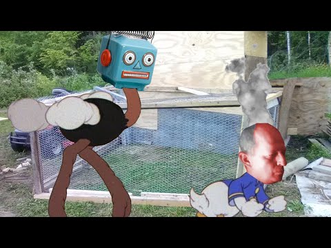 1-25-21 P1 Ostrich with the Upper Hand