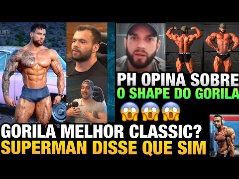 GORILA É O MELHOR CLASSIC ATUALMENTE ? SUPERMAN RESPONDE + PH CLASSICO OPINA SOBRE SHAPE DO GORILA