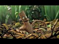 Has The Stick Man Found A Way Out!? 😳🍃 | Gruffalo World | Cartoons for Kids | WildBrain Zoo
