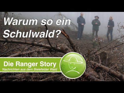 Warum so ein Schulwald?