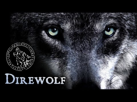 Paleowolf - Direwolf (prehistoric tribal ambient)