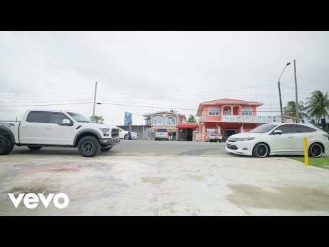 Vicadi Singh - The Fall Out