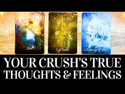 PICK A CARD ???????? Your Crush's TRUE Feelings & Thoughts About You ???????? Timeless Love Tarot Reading