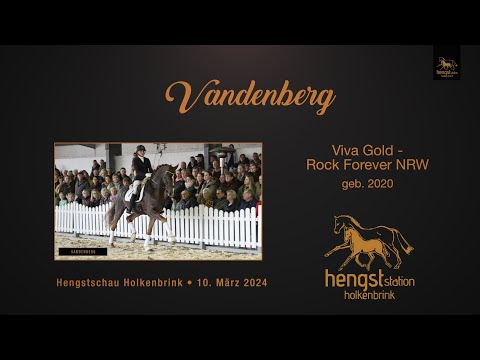 Vandenberg *2020 - Präsentation Hengstschau 2024