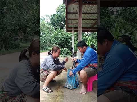 หน่อไม้กะมีขนติพ่อใหญ่ 😆 #funny #comedy #fun #comedyg #memeclip #comedymove #memes #laughtrip #duet