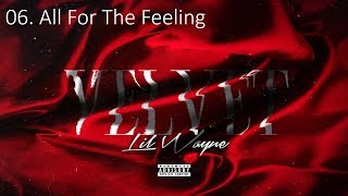 Lil Wayne Velvet - 06 All For The Feeling (HD)
