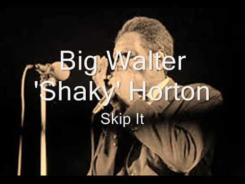 Big Walter 'Shaky' Horton-Skip It