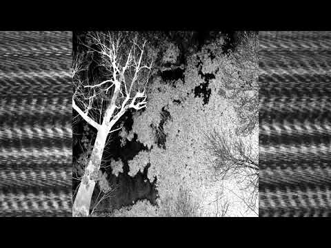 NoiseUp Label - NOISEUP LABEL PRESENTS: Malicious Wonderland "Tritone Musick"