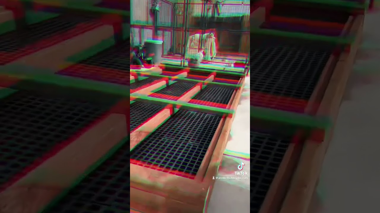 Do I need planning permission to build a kennel? Tipseri