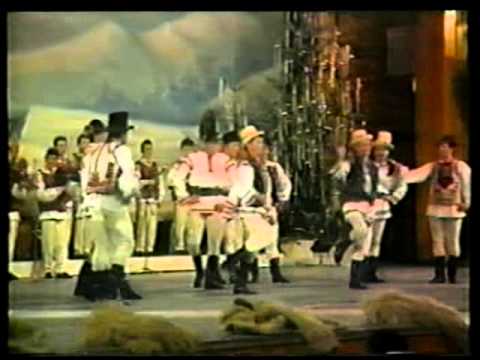 Ansamblul Transilvania Baia Mare